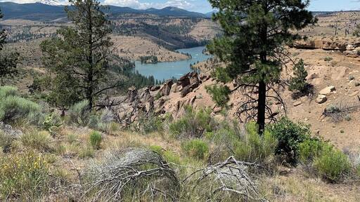 Paisaje montañoso con un lago, pinos y cielo despejado.