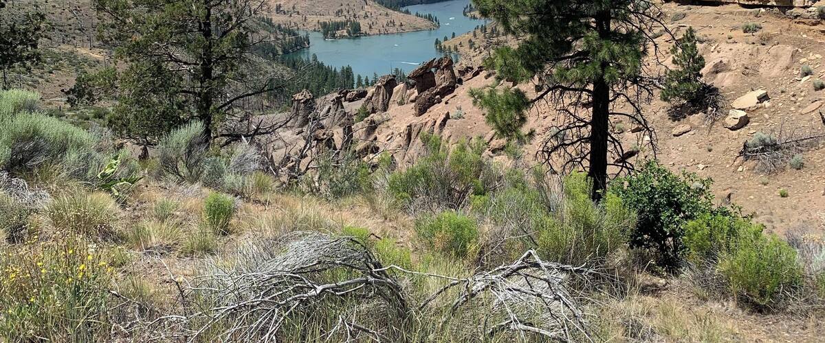 A mountainous landscape with a lake, pine trees, and a clear sky.