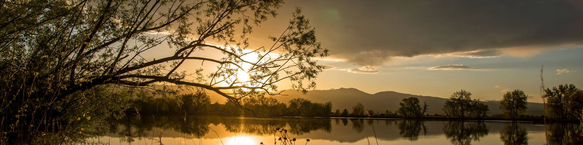 Sunset over the neighborhood lake