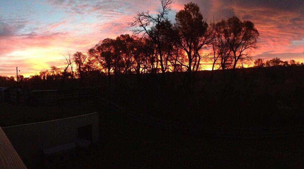 Sunrise from the Little Bighorn. Great area for fishing and hunting and definitely off the beaten path. #goldenhour