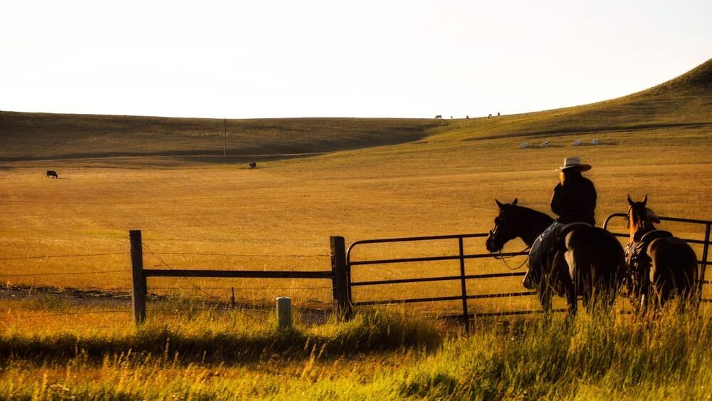 Just another wonderful site when you travel out west. Cowboys minding the cattle in the wee hours, just down from my house. #goldenhour #cowboys
