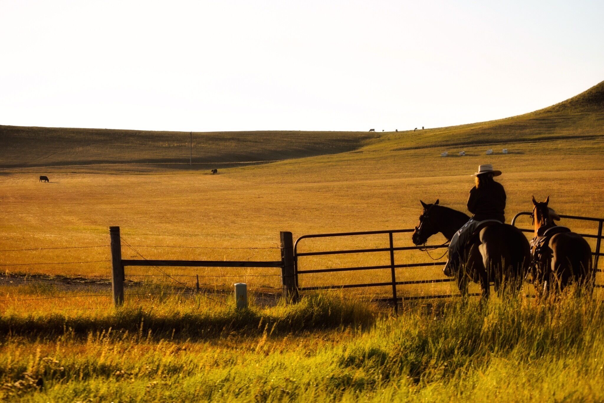 A cowboy on horseback in a vast, open field with a fence in the foreground.