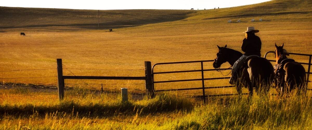 A cowboy on horseback in a vast, open field with a fence in the foreground.