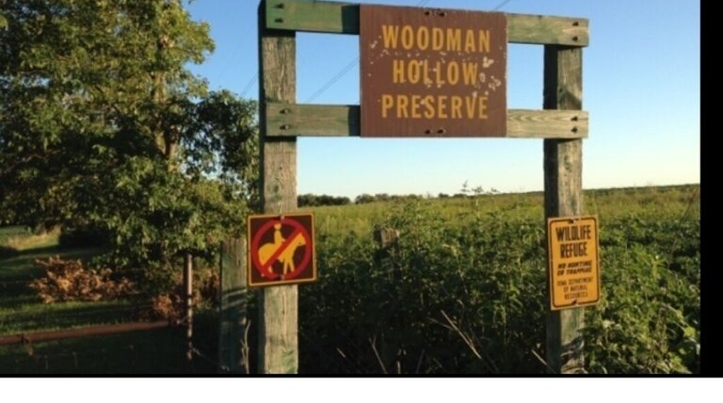 Trek into this dense patch of woods in search for the small waterfall.