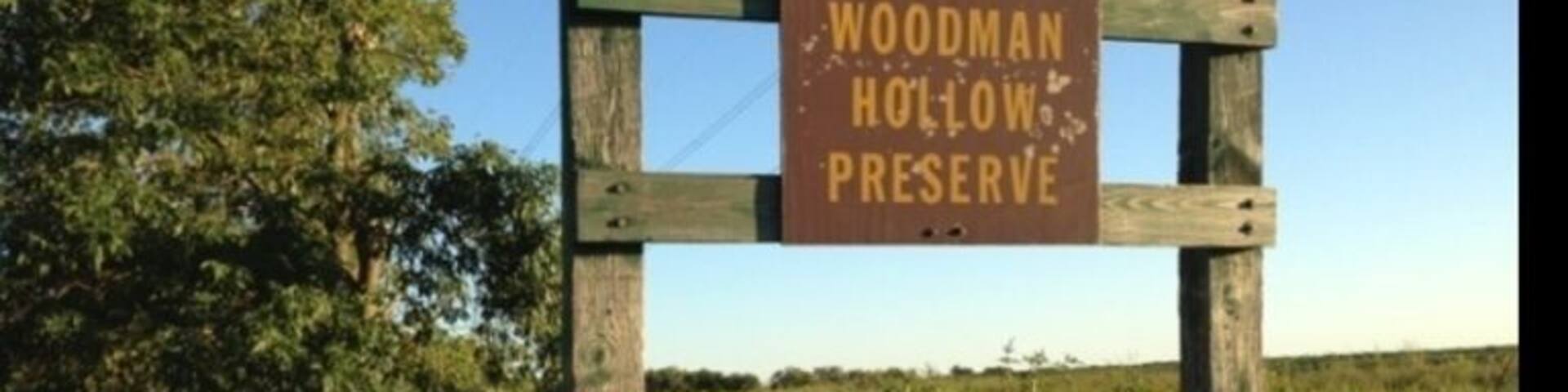 Trek into this dense patch of woods in search for the small waterfall.