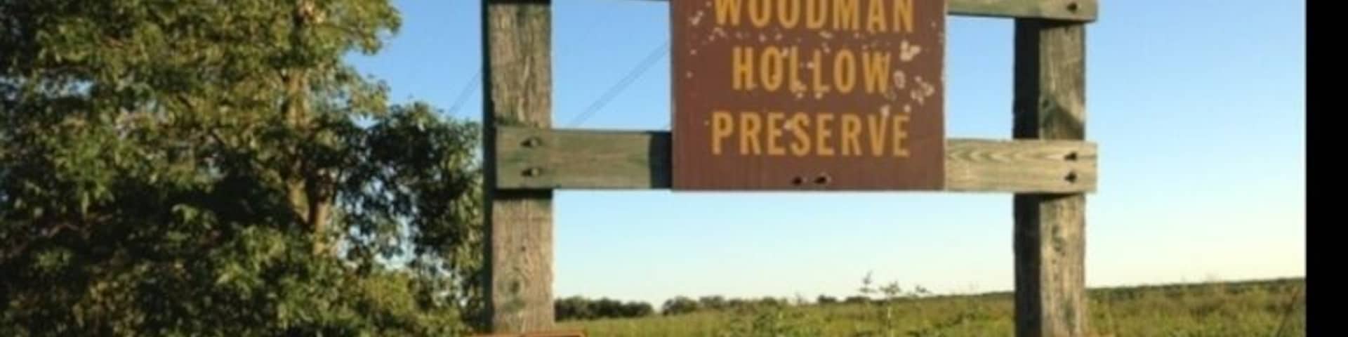 Trek into this dense patch of woods in search for the small waterfall.