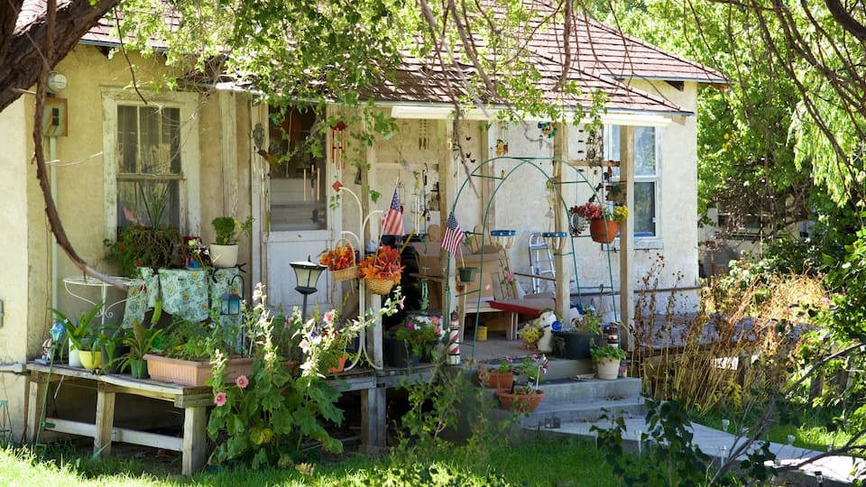 A rustic house with a porch filled with plants, American flags, and various gardening tools.