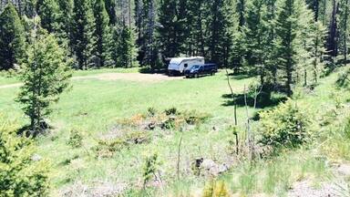 Pulled off the dirt road and spent the weekend in this undeveloped campsite along the river (just a short walk behind the trees to the water)