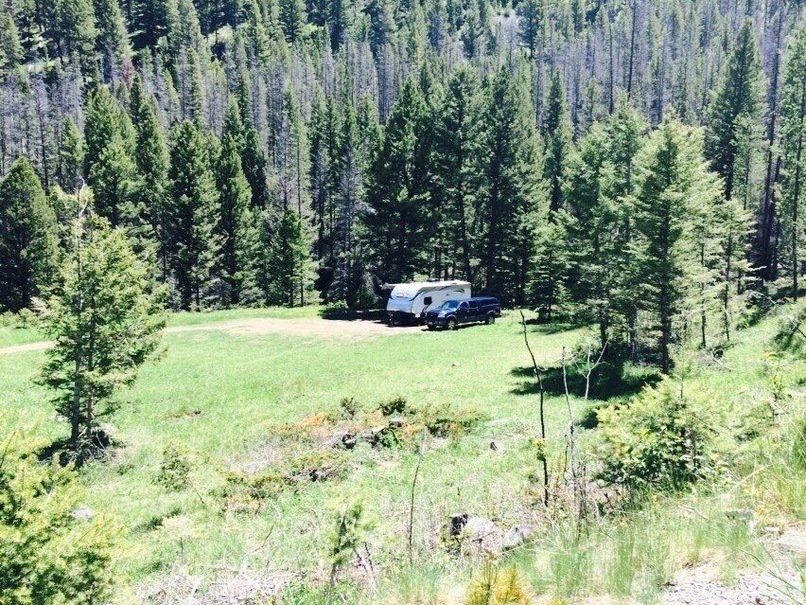 Pulled off the dirt road and spent the weekend in this undeveloped campsite along the river (just a short walk behind the trees to the water)