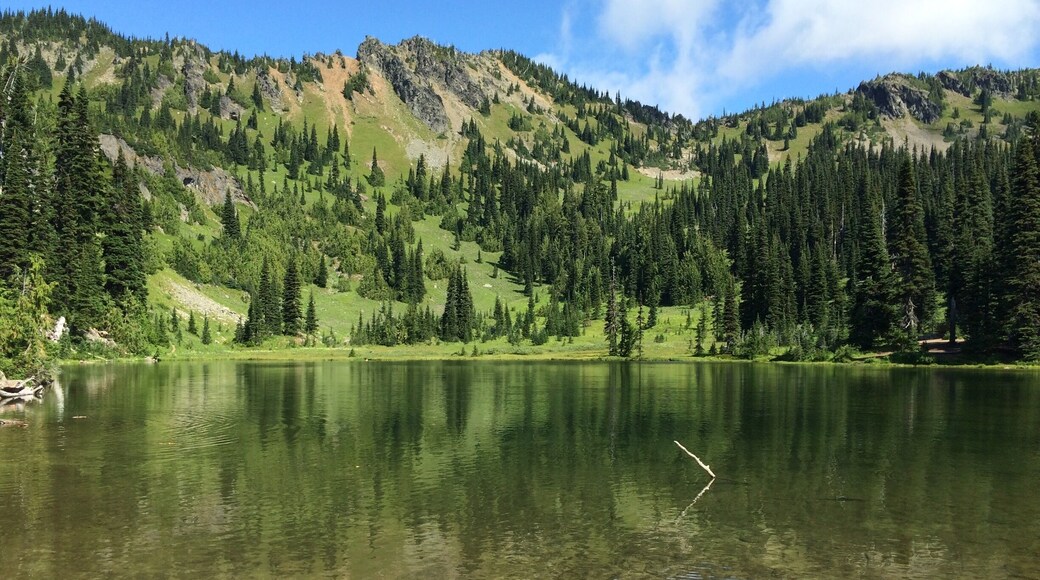 This is Sheep Lake off of Hwy 410 in WA.