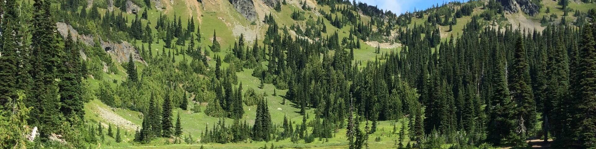 This is Sheep Lake off of Hwy 410 in WA.