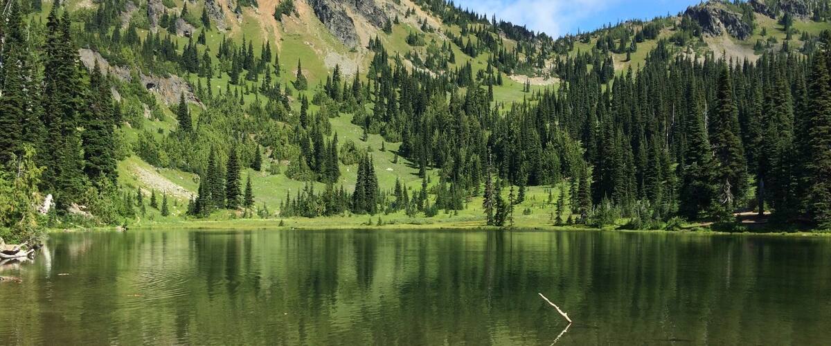 A calm lake surrounded by dense forest and rocky mountains under a clear sky.
