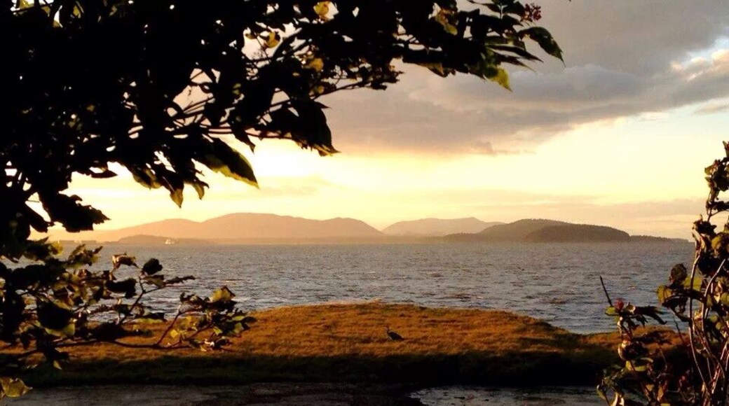 Padilla Bay Trail in Bayview