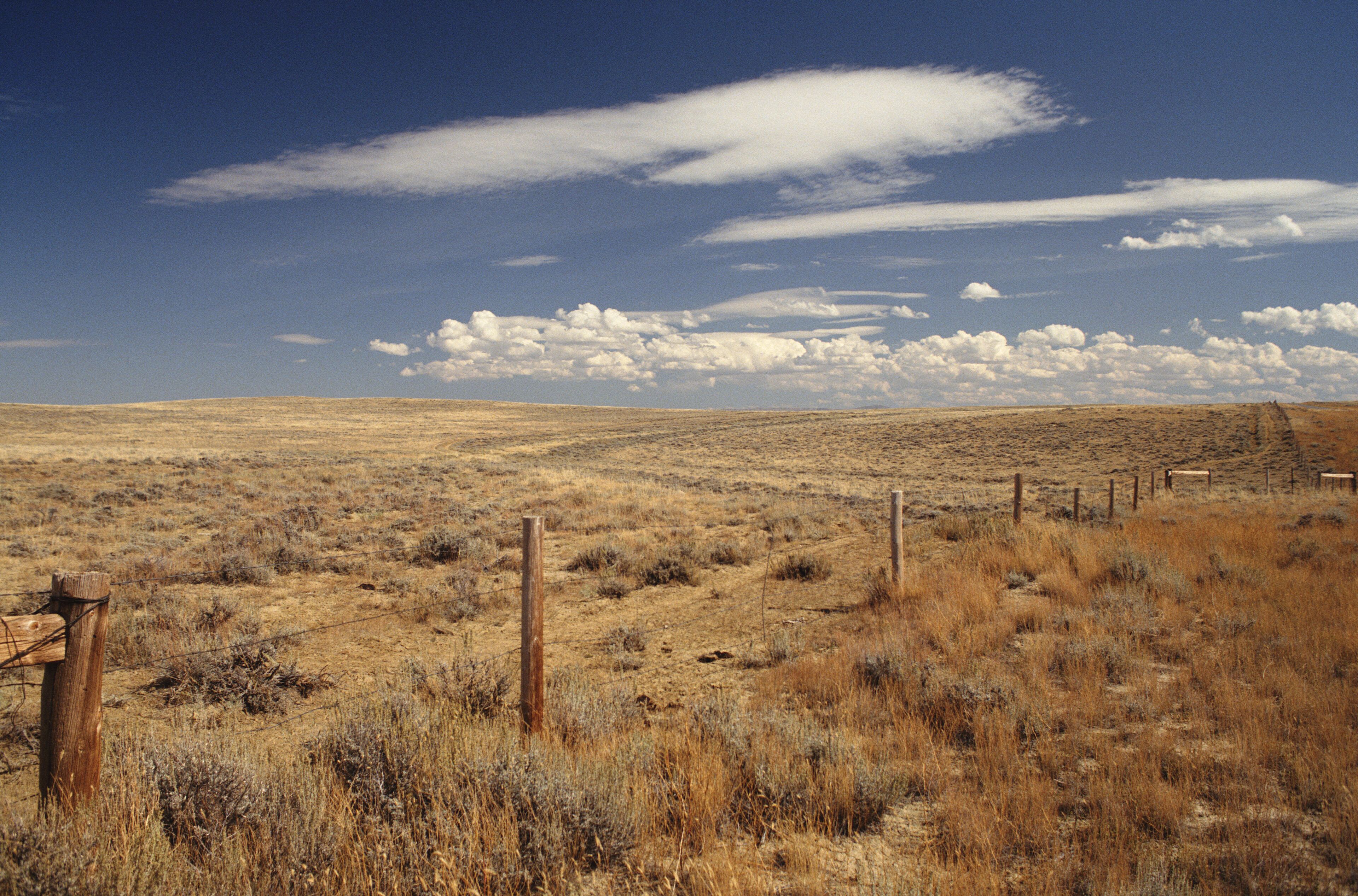 A vast, dry grassland with a clear blue sky and scattered clouds.