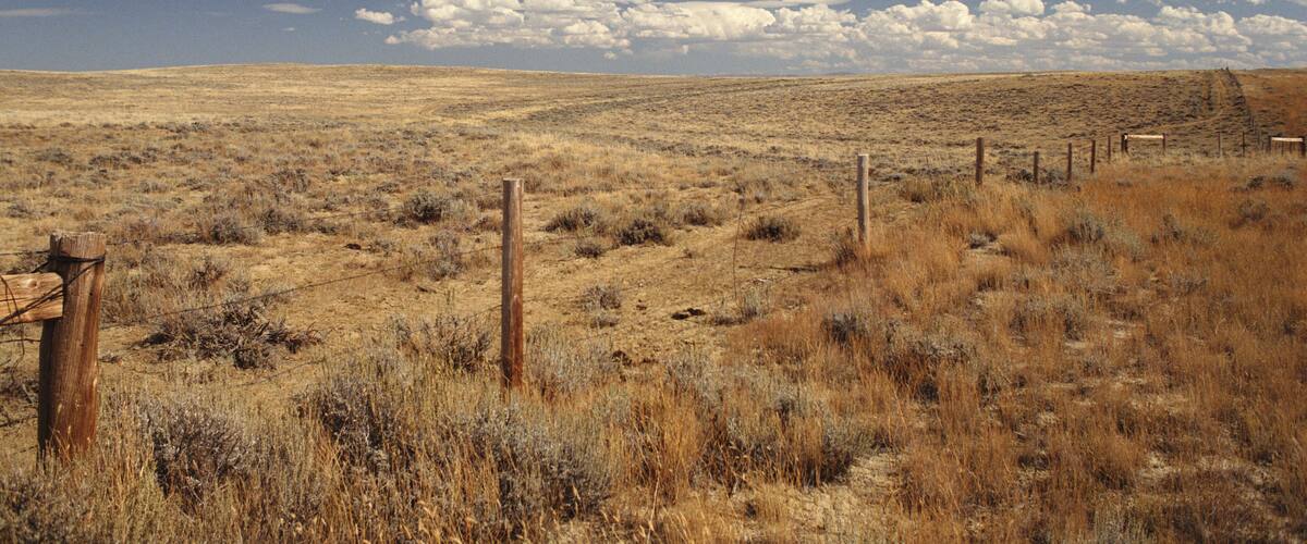 A vast, dry grassland with a clear blue sky and scattered clouds.