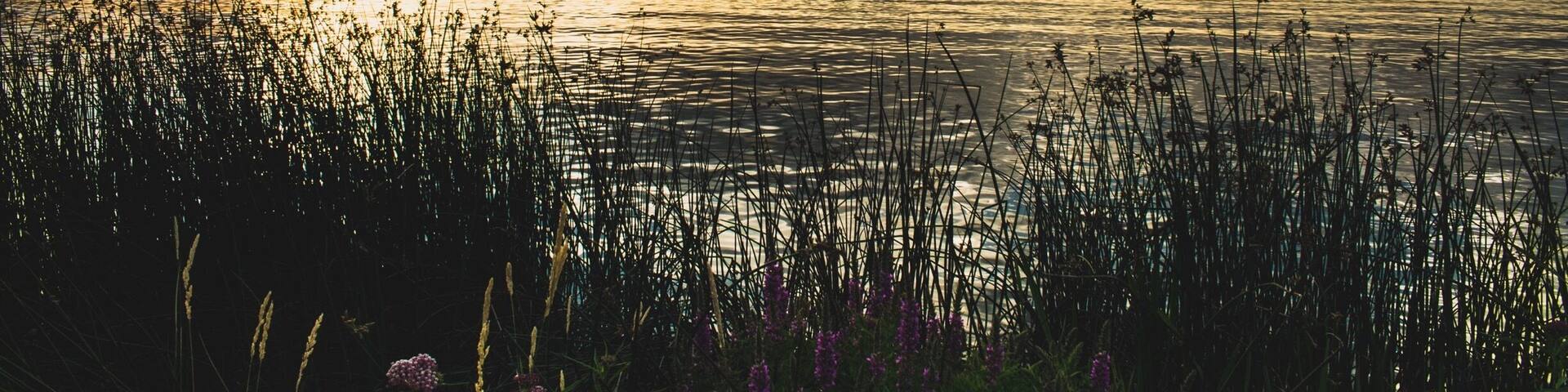 Dusk at cutler reservoir