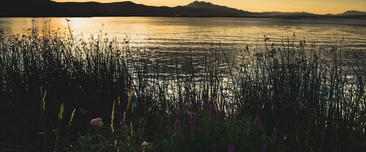 A sunset over a lake with mountains in the background and tall grasses in the foreground.