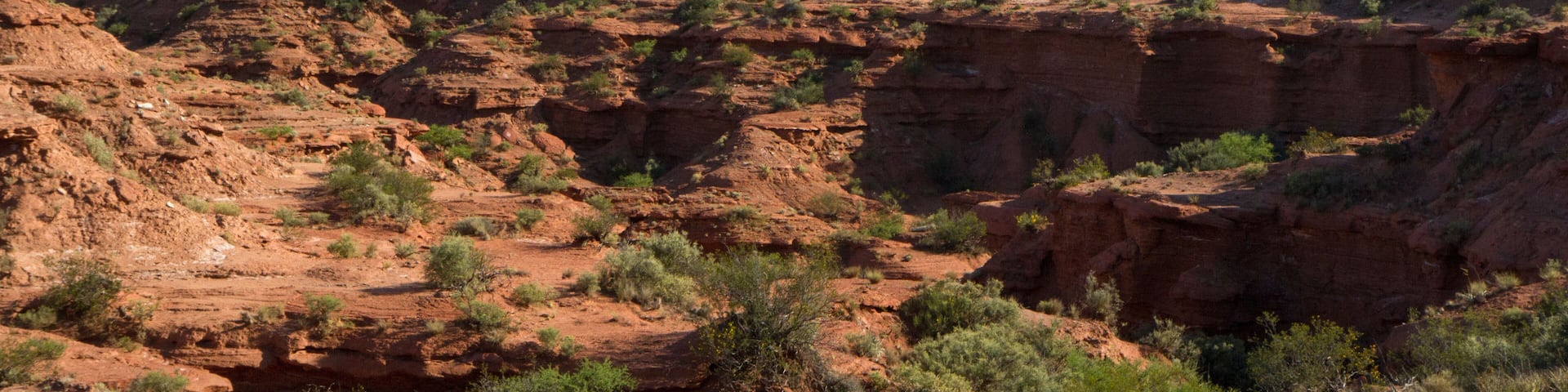Prehistoric cliffs in Sierra de las Quijadas National Park, San Luis, Argentina. Arid desert landscape. Red sandstone canyon and valley.