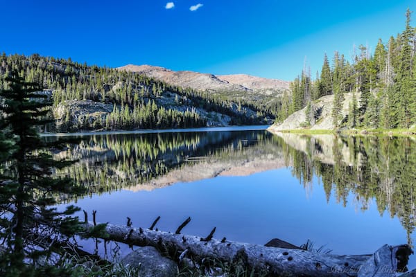 Backpacking and fly fishing trail #65 in the Bighorns. #adventure