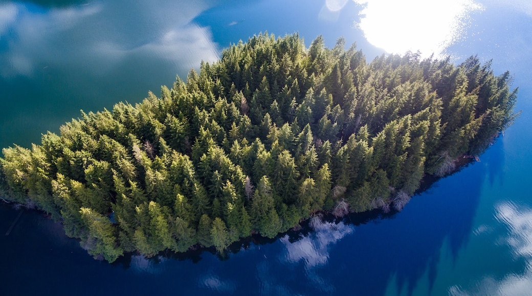 I love the vibrant #green I found on this little island! Such a cool place!