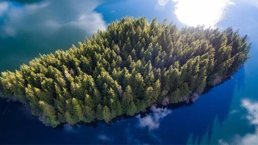 I love the vibrant #green I found on this little island! Such a cool place!