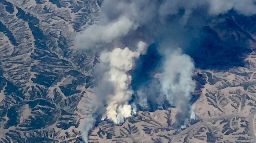 Wildfire! 🔥🔥🔥