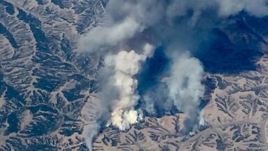 Wildfire! 🔥🔥🔥