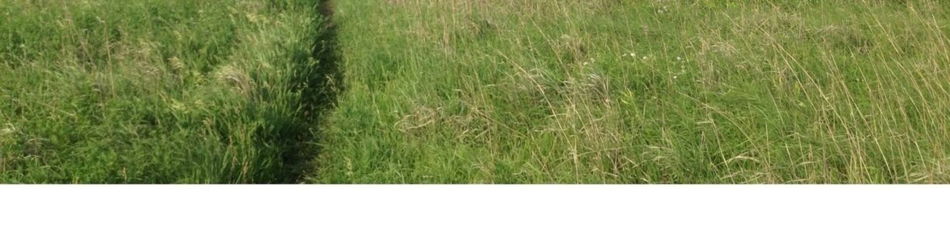 Large mound left by the receding glaciers during the last ice age.