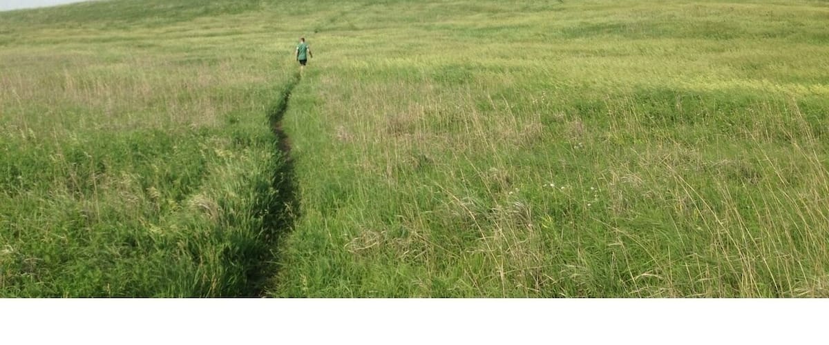 A grassy hill with a person walking down a path.