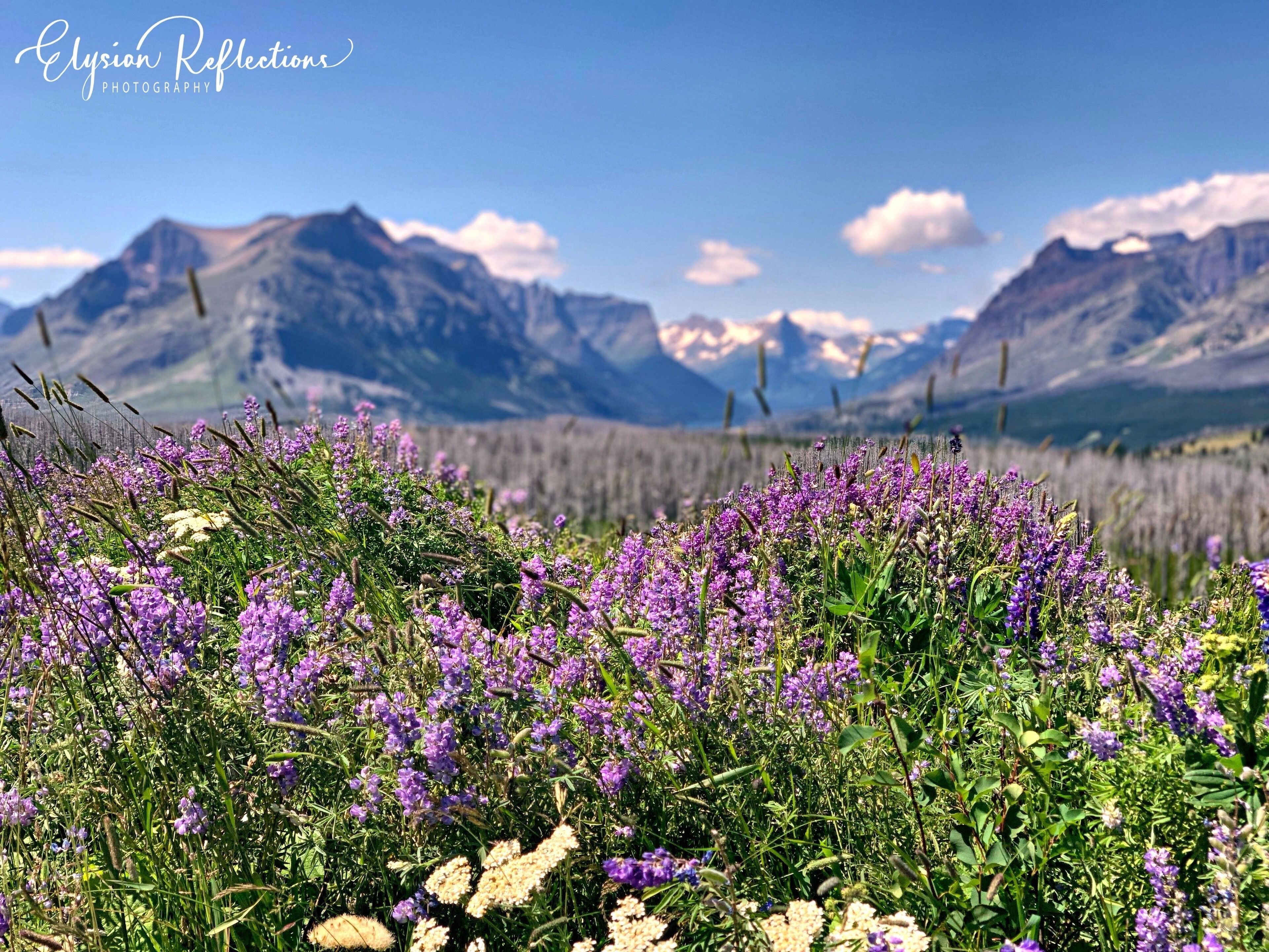 The views from the east side of Glacier National Park are nothing short of spectacular and sure to leave you breathless.  #Adventure awaits you at GNP, because there is something for everyone!