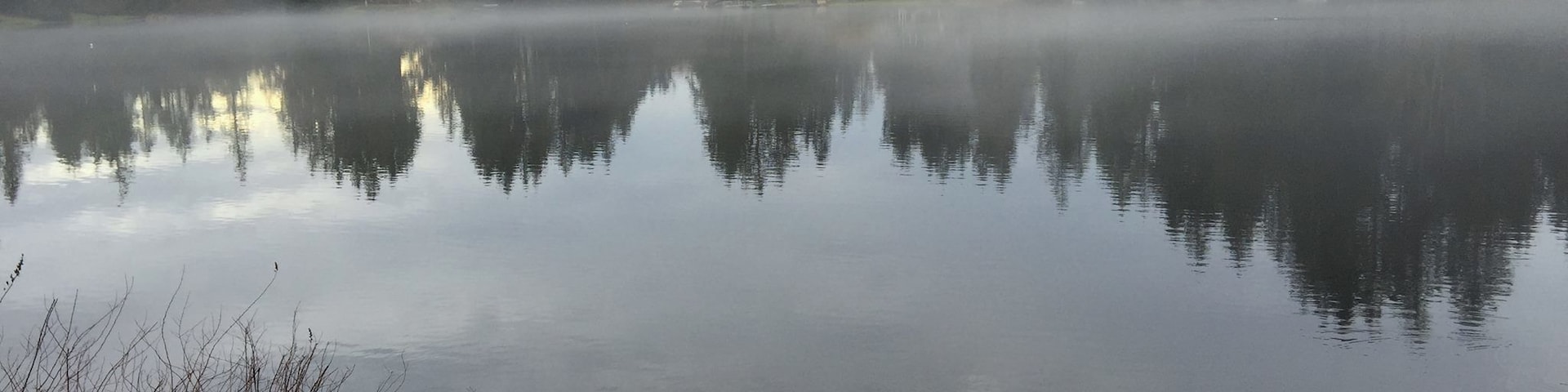 A soothing afternoon mist settles over Lake Killarney, on the boundary between the towns of Auburn and Federal Way, Washington.