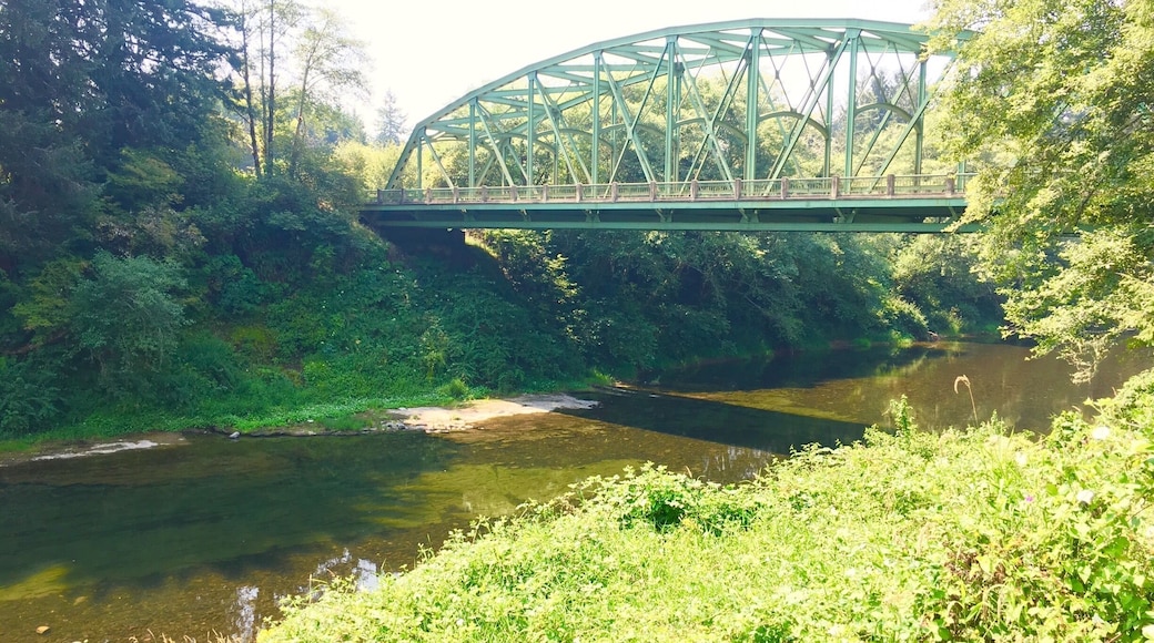 Did a bit of trout fishing. Very successful! Oregon is such a beautiful state.