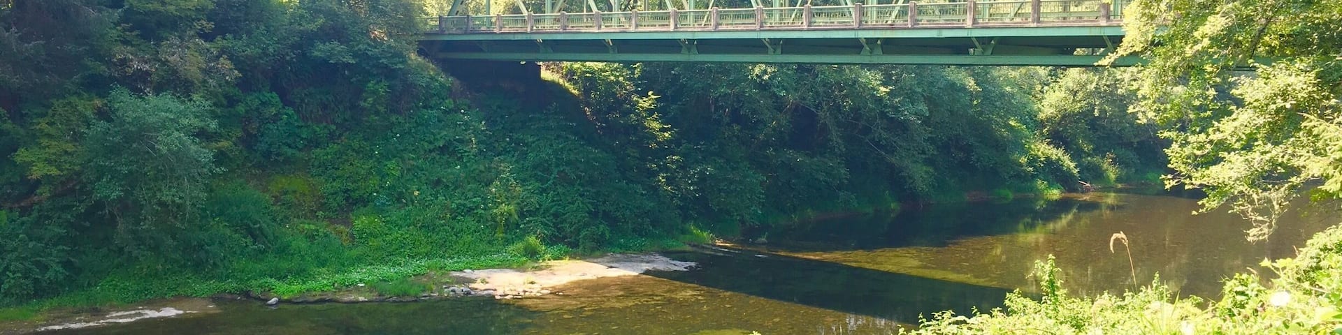 Did a bit of trout fishing. Very successful! Oregon is such a beautiful state.