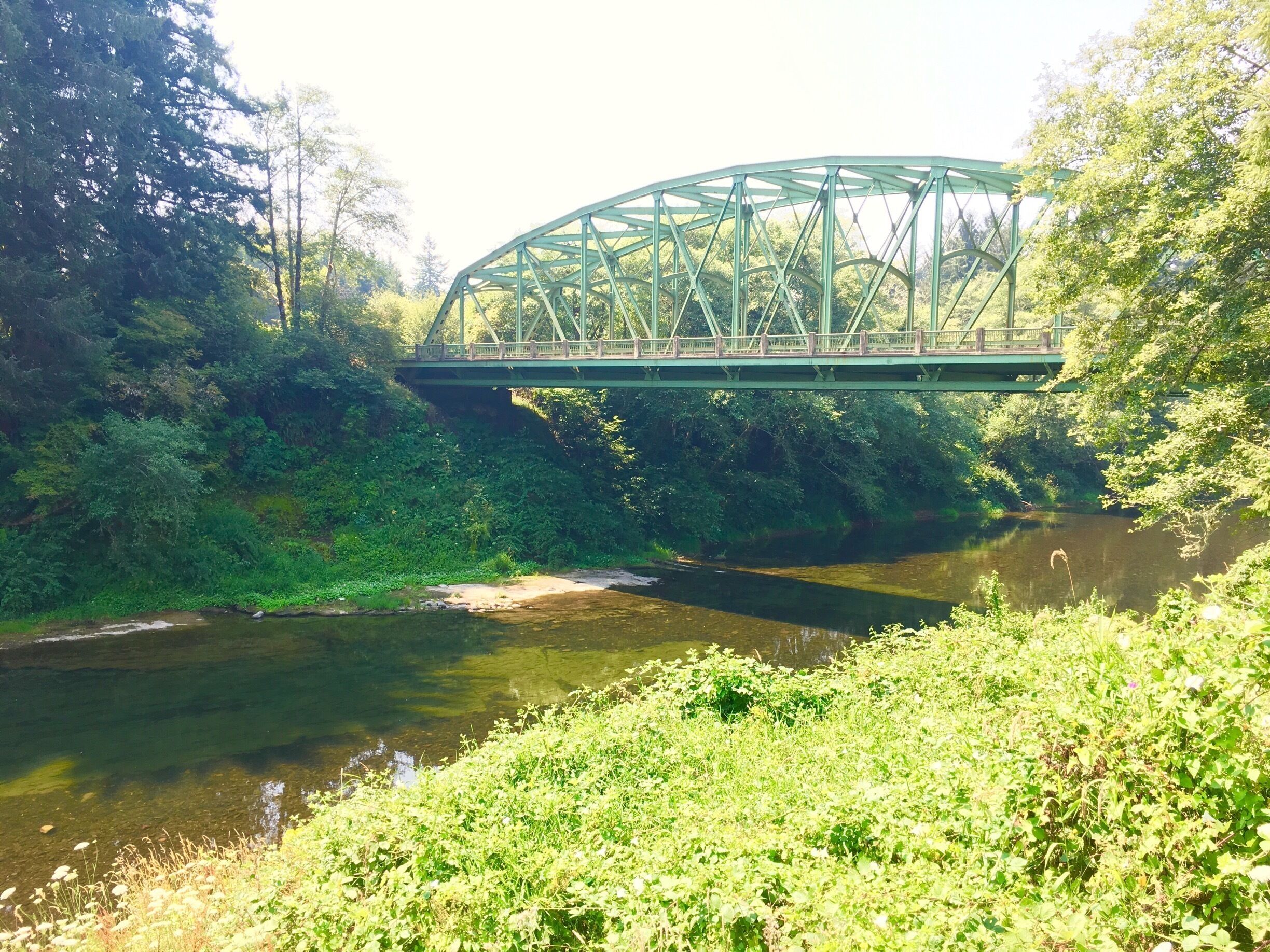 A green metal bridge over a river surrounded by lush greenery.