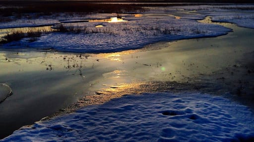 Where the freshwater dissipates into wetlands, and wetlands become the great salt lake. #sunset #winter #utah #greatsaltlake #wetlands #swamp #marsh #islands #snow #ice