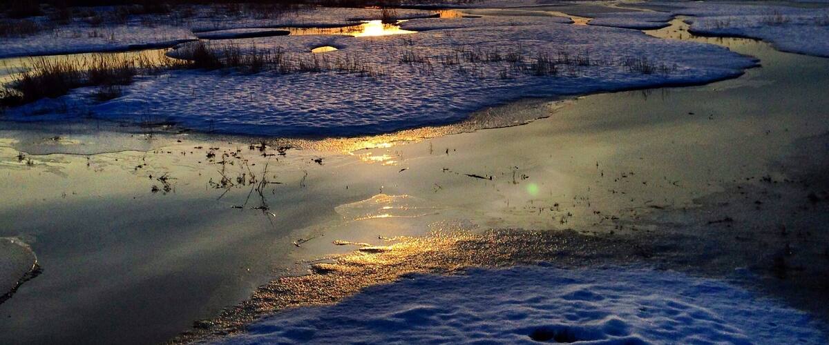 A frozen wetland with the sun setting in the background.