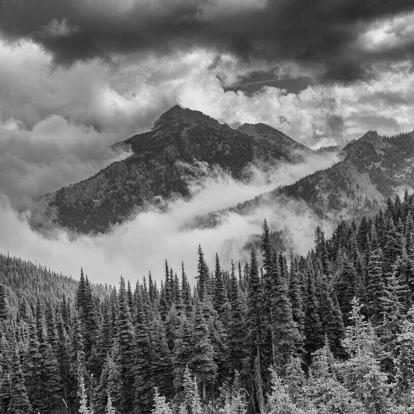 A mountain range with dense forests and clouds at the base.