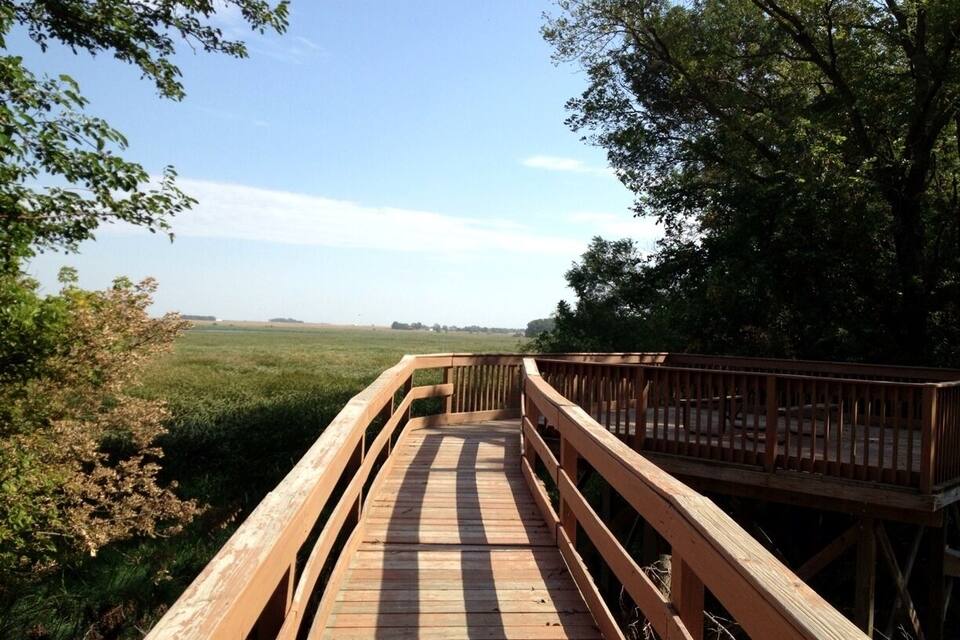 A wooden boardwalk leading through a grassy field with trees on either side.