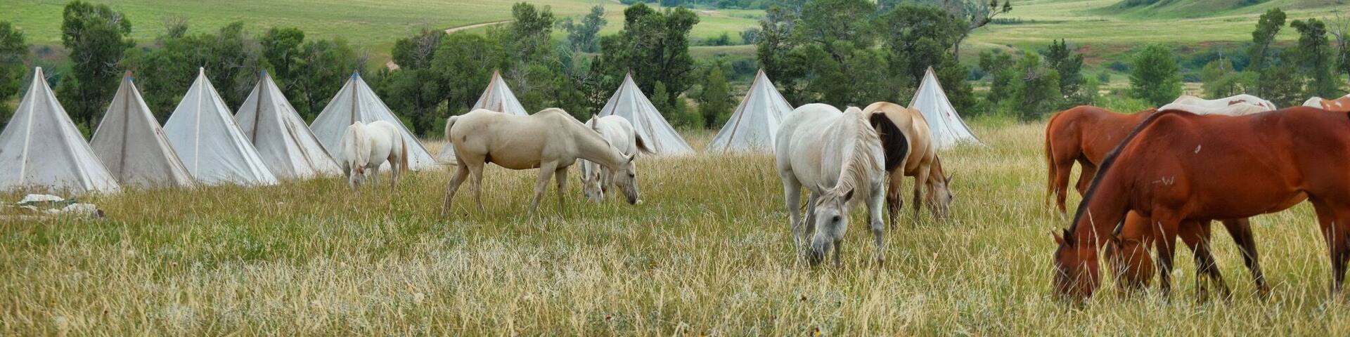 This is a cowboy camp near Kettle Gultch, also near a place we have heard called "Rocky Bottom" by members of the Crow tribe
