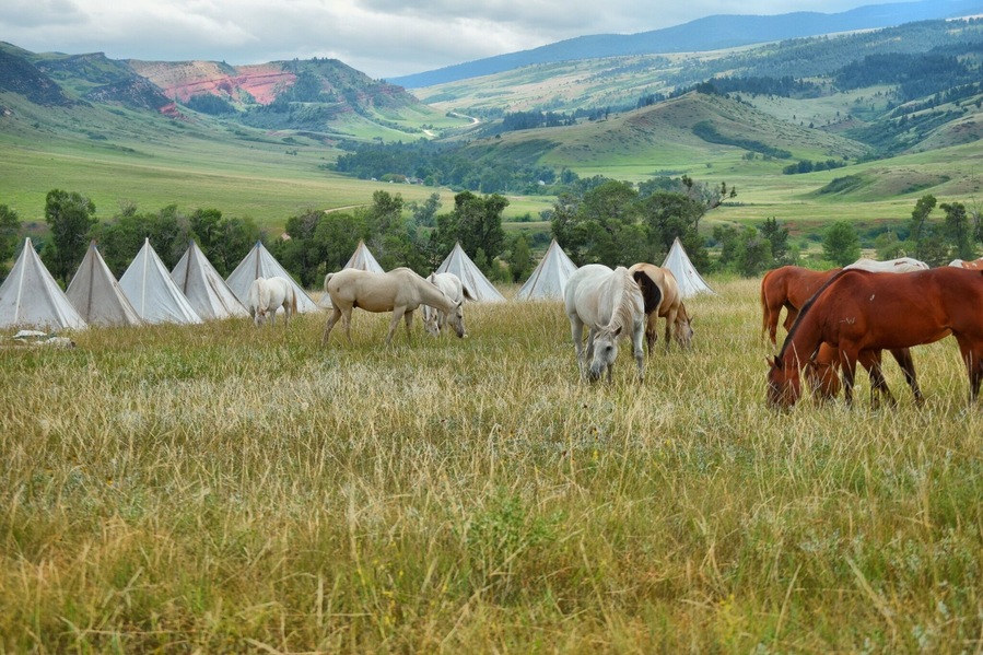 This is a cowboy camp near Kettle Gultch, also near a place we have heard called "Rocky Bottom" by members of the Crow tribe