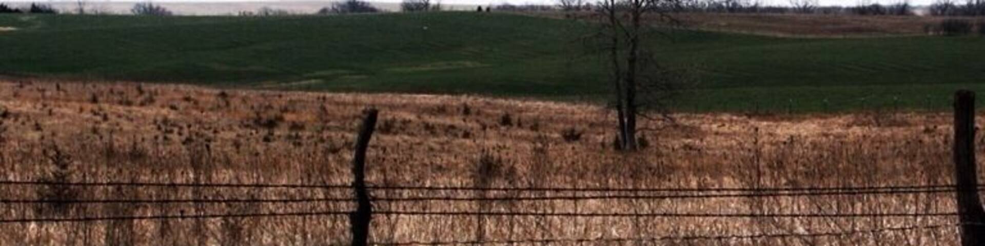 People say that Mid America is the most boring to drive through. I half heatedly disagree. Driving expressway, your right, but, get off the freeway, take a highway. It becomes one of the best places to drive. Big fields, old farms, old houses, Amish, green fields, and fences. New things every half mile. I was fascinated how driving through the same thing, farms, could still be new and interesting for hours. Best part...you can average 65 😉 or better. Only 10 miles below expressway speeds. So get off the expressway, find a parallel highway and enjoy rural America.