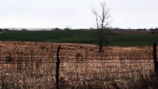 People say that Mid America is the most boring to drive through. I half heatedly disagree. Driving expressway, your right, but, get off the freeway, take a highway. It becomes one of the best places to drive. Big fields, old farms, old houses, Amish, green fields, and fences. New things every half mile. I was fascinated how driving through the same thing, farms, could still be new and interesting for hours. Best part...you can average 65 😉 or better. Only 10 miles below expressway speeds. So get off the expressway, find a parallel highway and enjoy rural America.