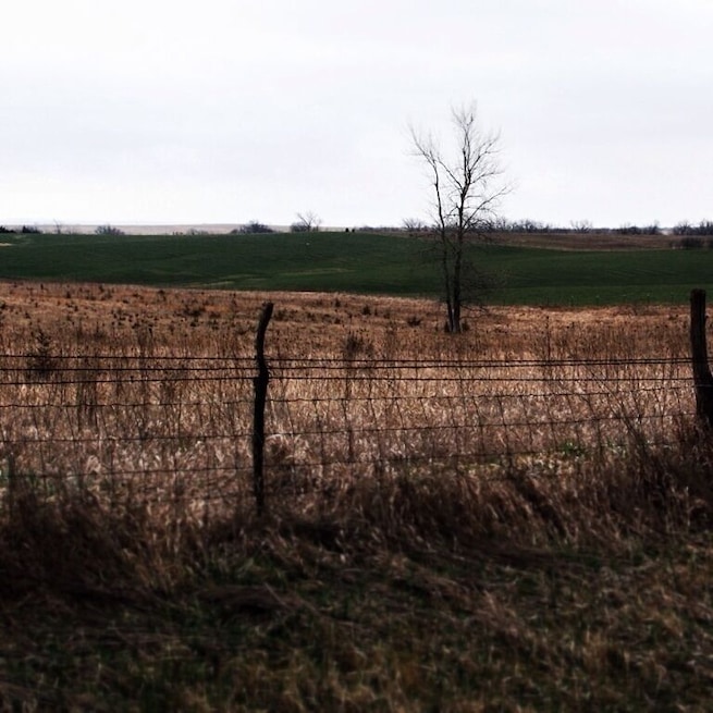 People say that Mid America is the most boring to drive through. I half heatedly disagree. Driving expressway, your right, but, get off the freeway, take a highway. It becomes one of the best places to drive. Big fields, old farms, old houses, Amish, green fields, and fences. New things every half mile. I was fascinated how driving through the same thing, farms, could still be new and interesting for hours. Best part...you can average 65 😉 or better. Only 10 miles below expressway speeds. So get off the expressway, find a parallel highway and enjoy rural America.