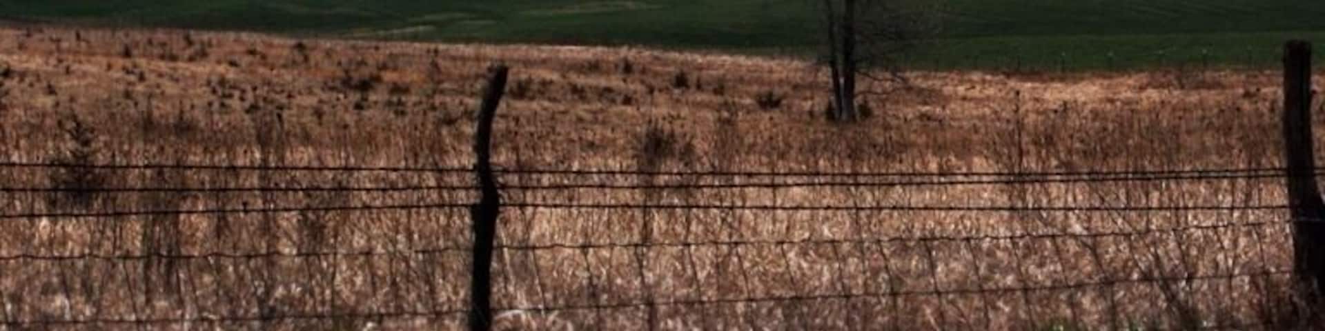 People say that Mid America is the most boring to drive through. I half heatedly disagree. Driving expressway, your right, but, get off the freeway, take a highway. It becomes one of the best places to drive. Big fields, old farms, old houses, Amish, green fields, and fences. New things every half mile. I was fascinated how driving through the same thing, farms, could still be new and interesting for hours. Best part...you can average 65 😉 or better. Only 10 miles below expressway speeds. So get off the expressway, find a parallel highway and enjoy rural America.