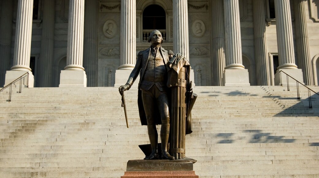 george washington with columns