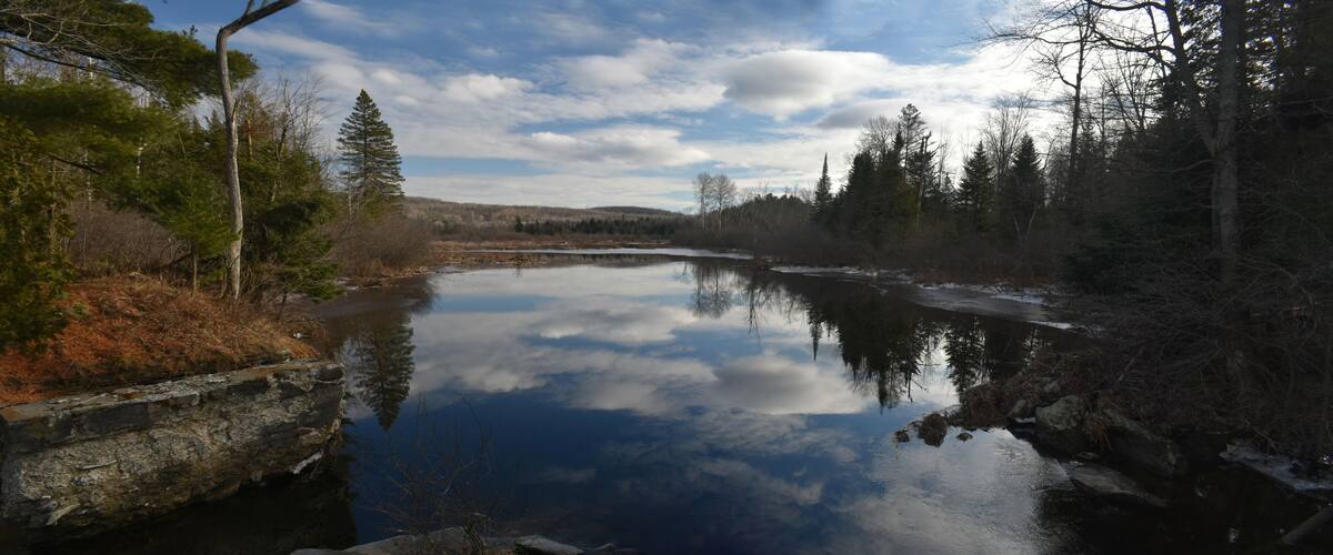 Richmond Et Marais Kingsbury 25 Décembre 2023 - Photostacking