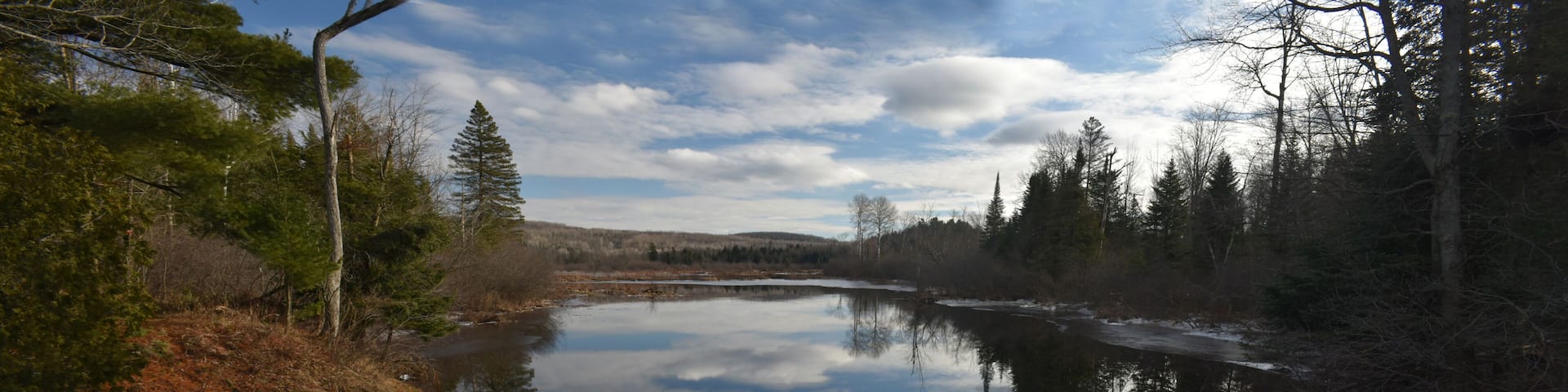 Richmond Et Marais Kingsbury 25 Décembre 2023 - Photostacking