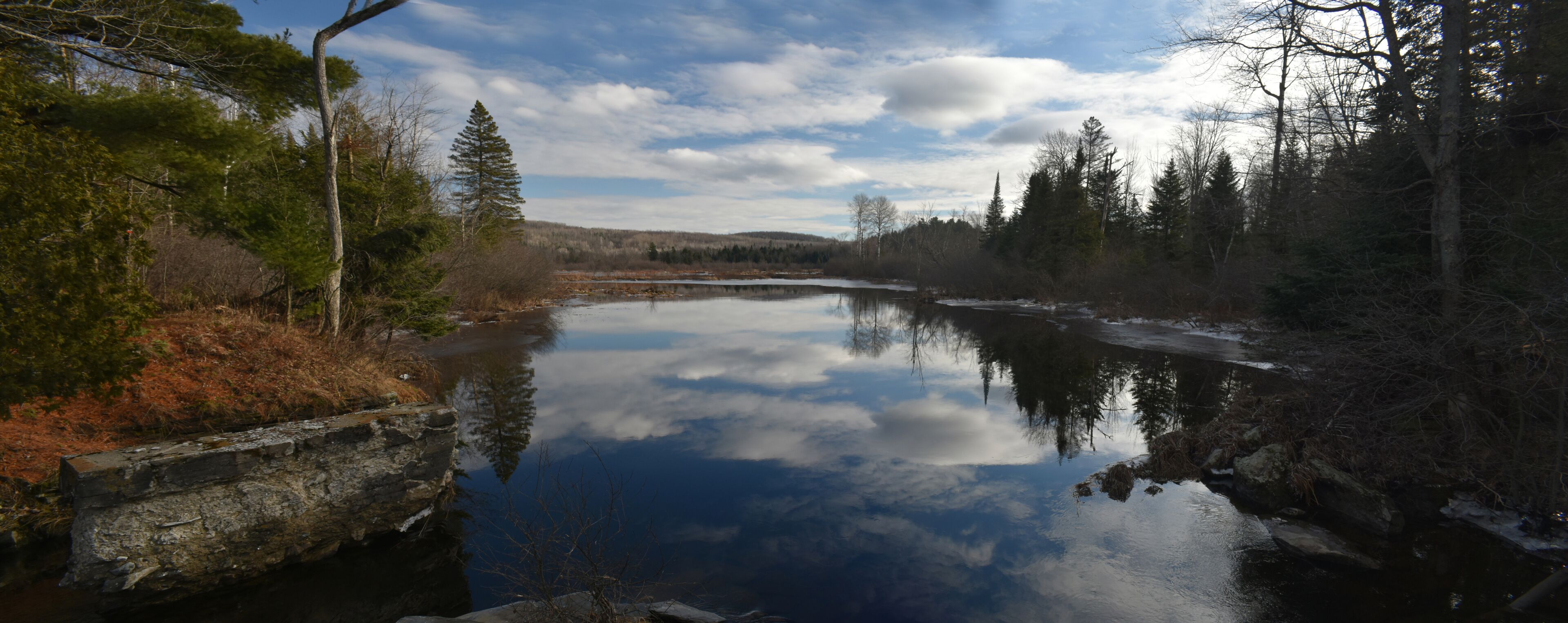 A calm river reflecting trees and a cloudy sky.