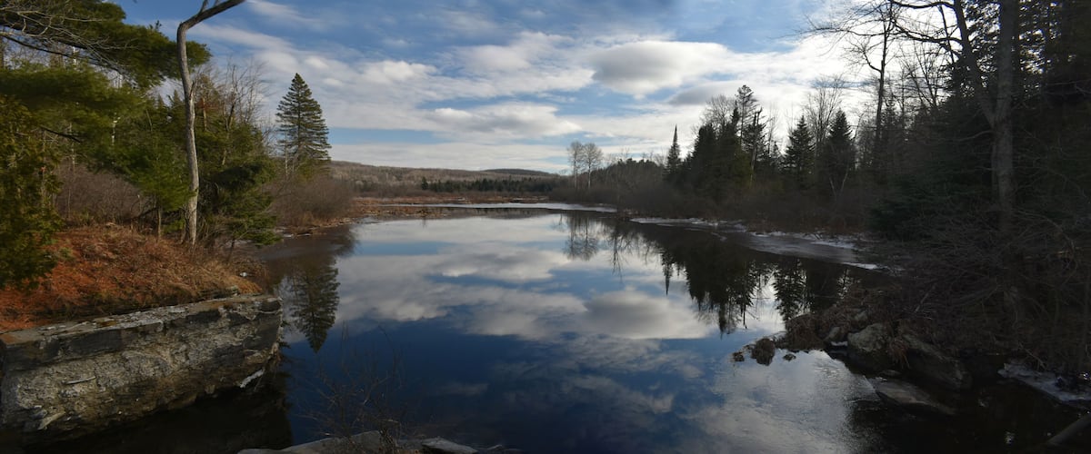 A calm river reflecting trees and a cloudy sky.
