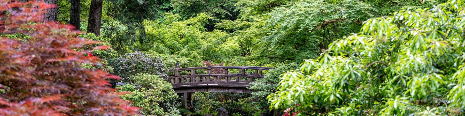Moon Bridge and Strolling Pond Garden at the Portland Japanese Garden